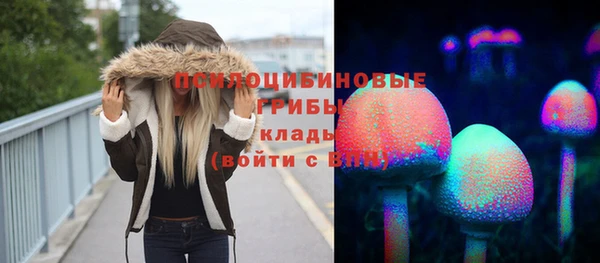 МДПВ Елабуга