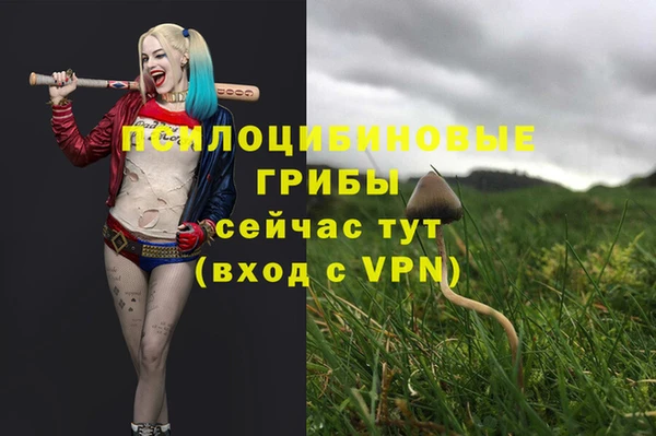МДПВ Елабуга
