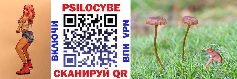 Купить закладки  Октябрьский  Галлюциногенные грибы Psilocybine cubensis 